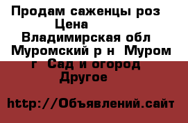 Продам саженцы роз › Цена ­ 250 - Владимирская обл., Муромский р-н, Муром г. Сад и огород » Другое   